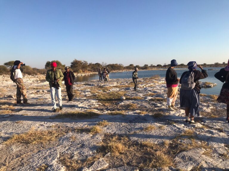 81897b0e-2223-4fd9-a6c8-ec9a3865c0c8