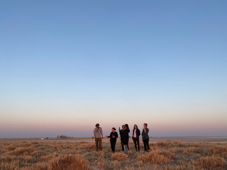 ARC-on-the-pans-at-Nata